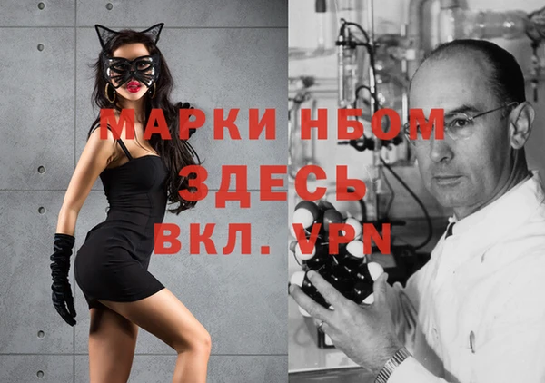 индика Верхнеуральск