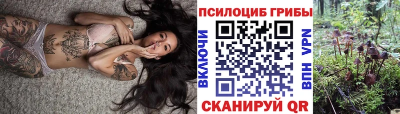 Псилоцибиновые грибы Psilocybine cubensis  Серпухов 
